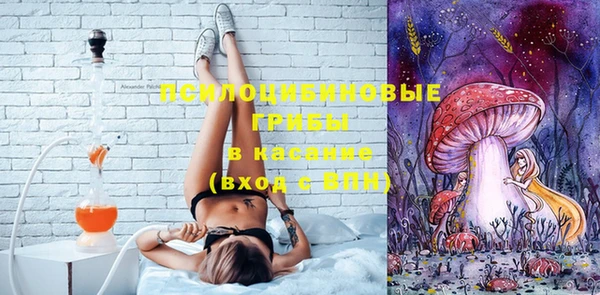 бошки Касимов