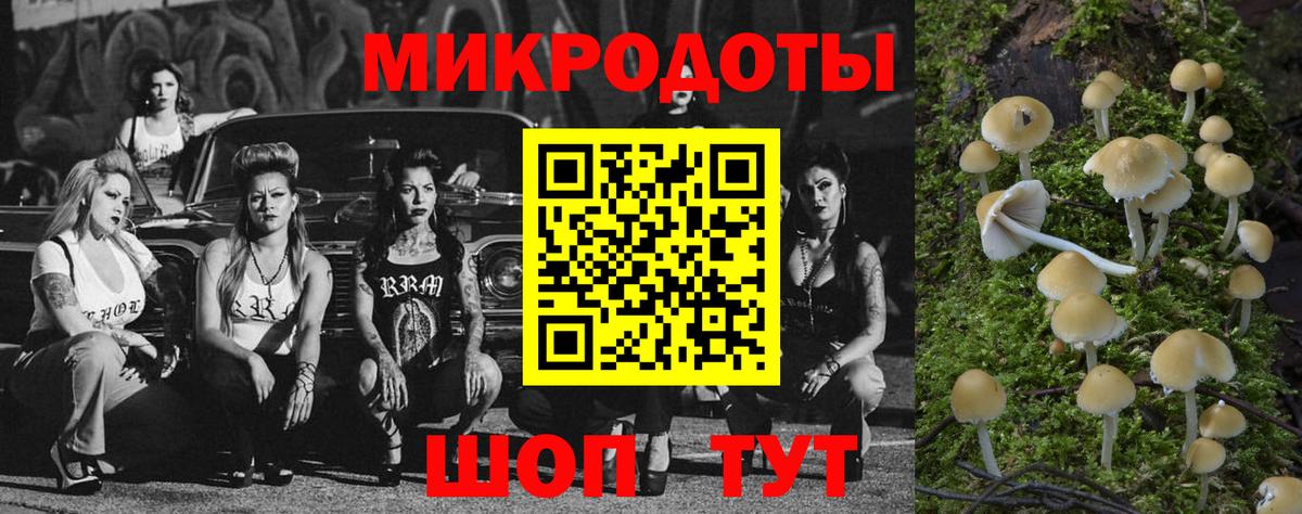 Псилоцибиновые грибы Magic Shrooms  Вход с VPN  Псилоцибиновые грибы мухоморы  Кольчугино 